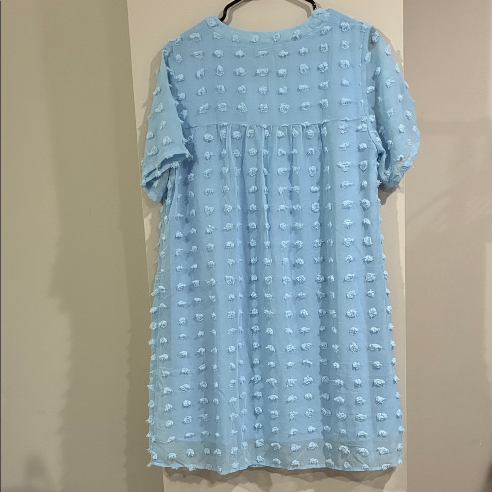 MIHOLL NWT Light Baby Blue Swiss Dot Textured Pocketed Dress Medium - Picture 7 of 11